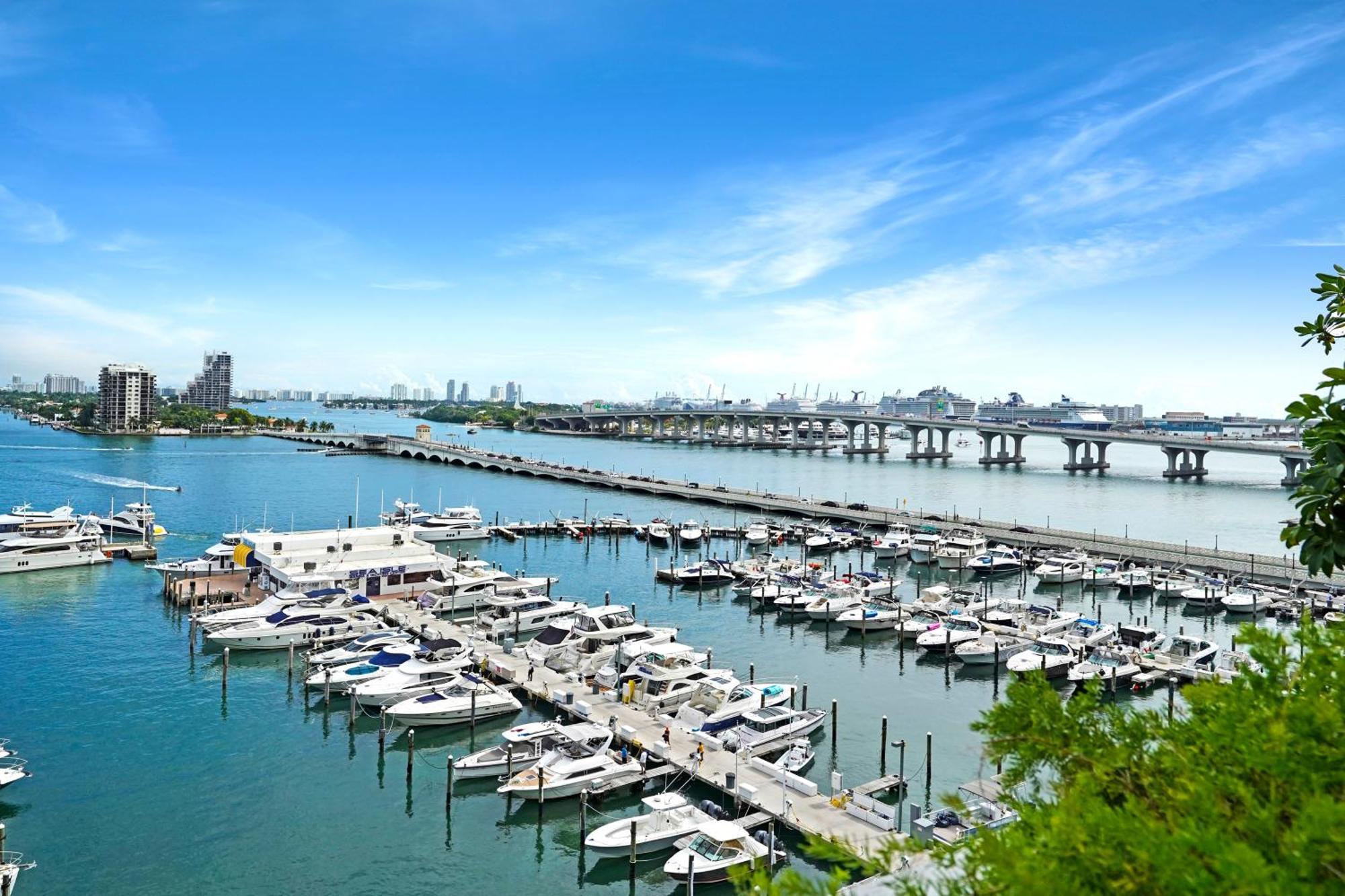 In Love! Skyline Views, Renovated Miami